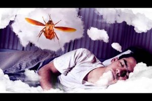 Descubre el significado de soñar con cucarachas grandes voladoras